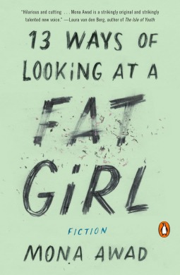 13 Ways of Looking at a Fat Girl  Mona Awad