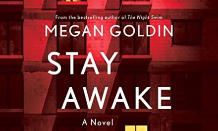 Stay Awake (audiobook) by Megan Goldin