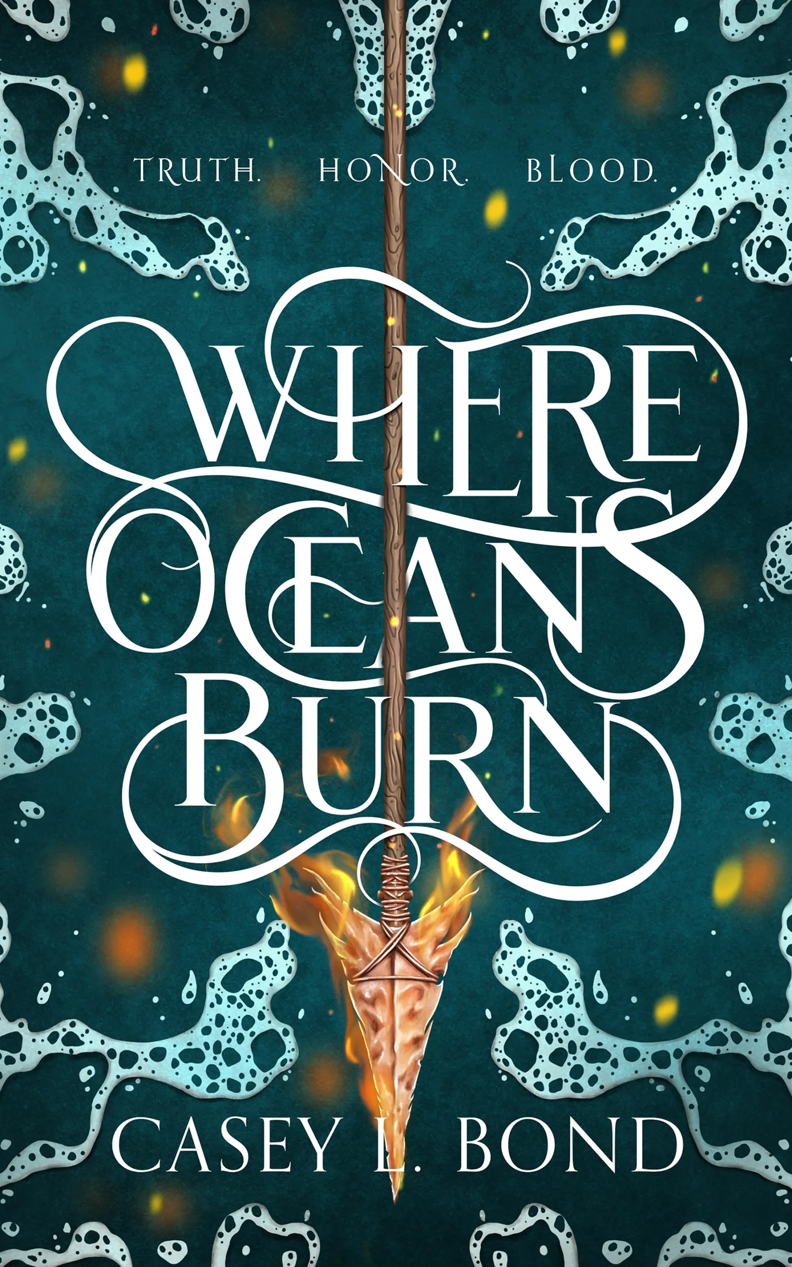 Where Oceans Burn Book Cover