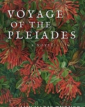 Voyage of the Pleiades by Amy Marie Turner